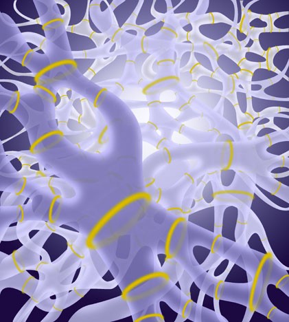 Artist's impression of the fundamental entities of superstring theory by Flavio Robles - click for larger version