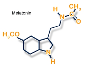 Melatonin is naturally synthesized in the body from seratonin (image from Best Sleep Aids)